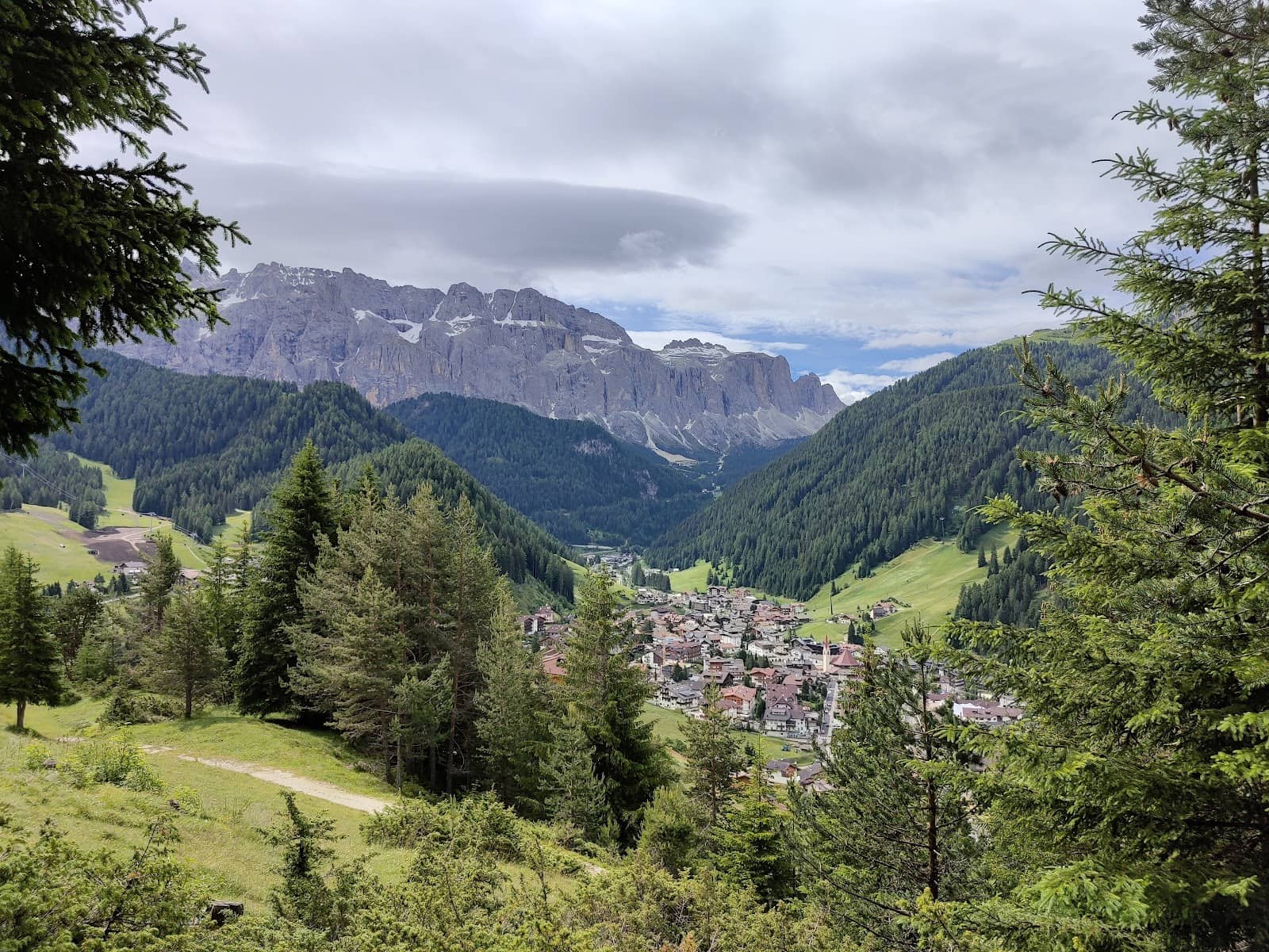Access to Stevia Refuge
