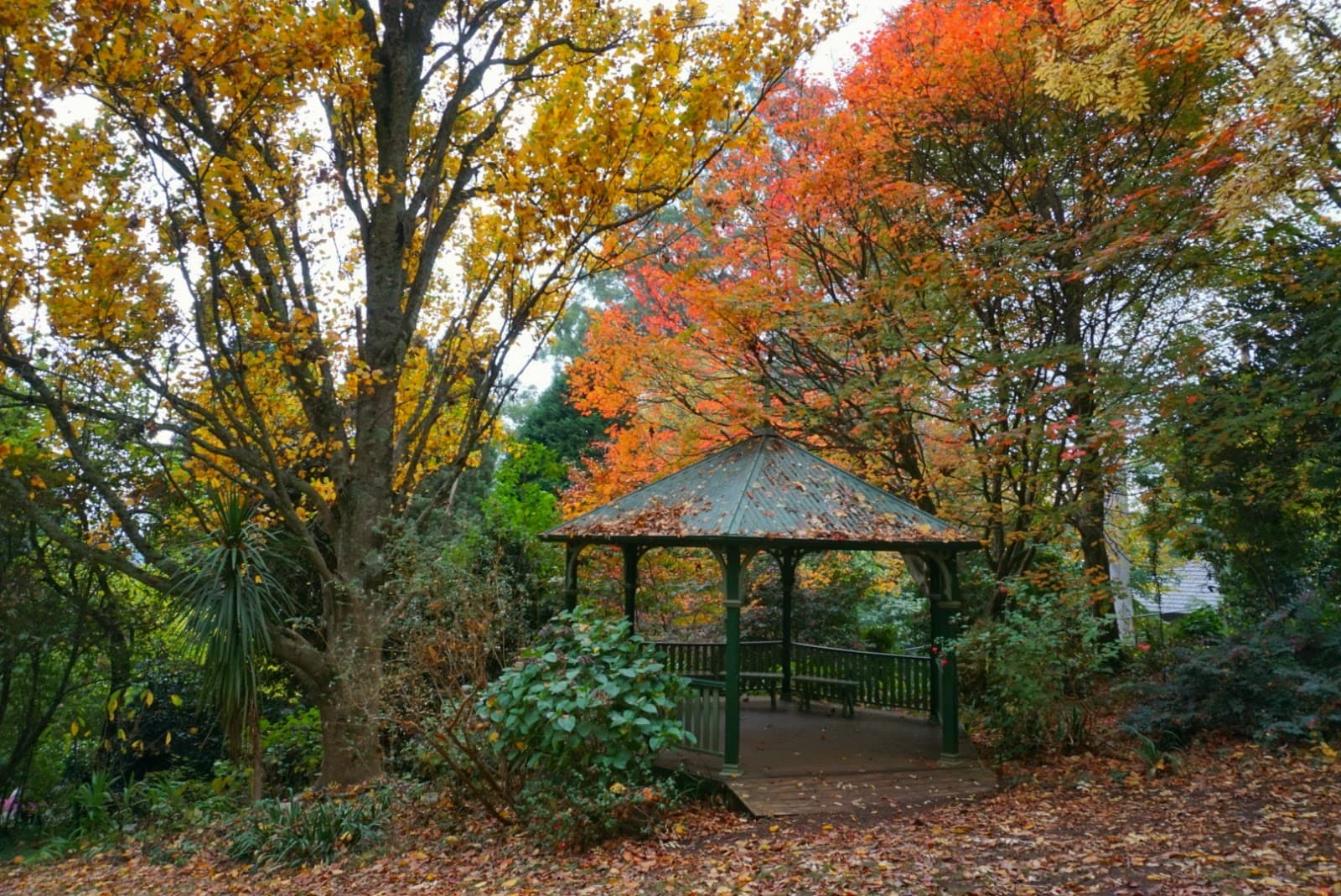 George Tindale Memorial Gardens - Image 1