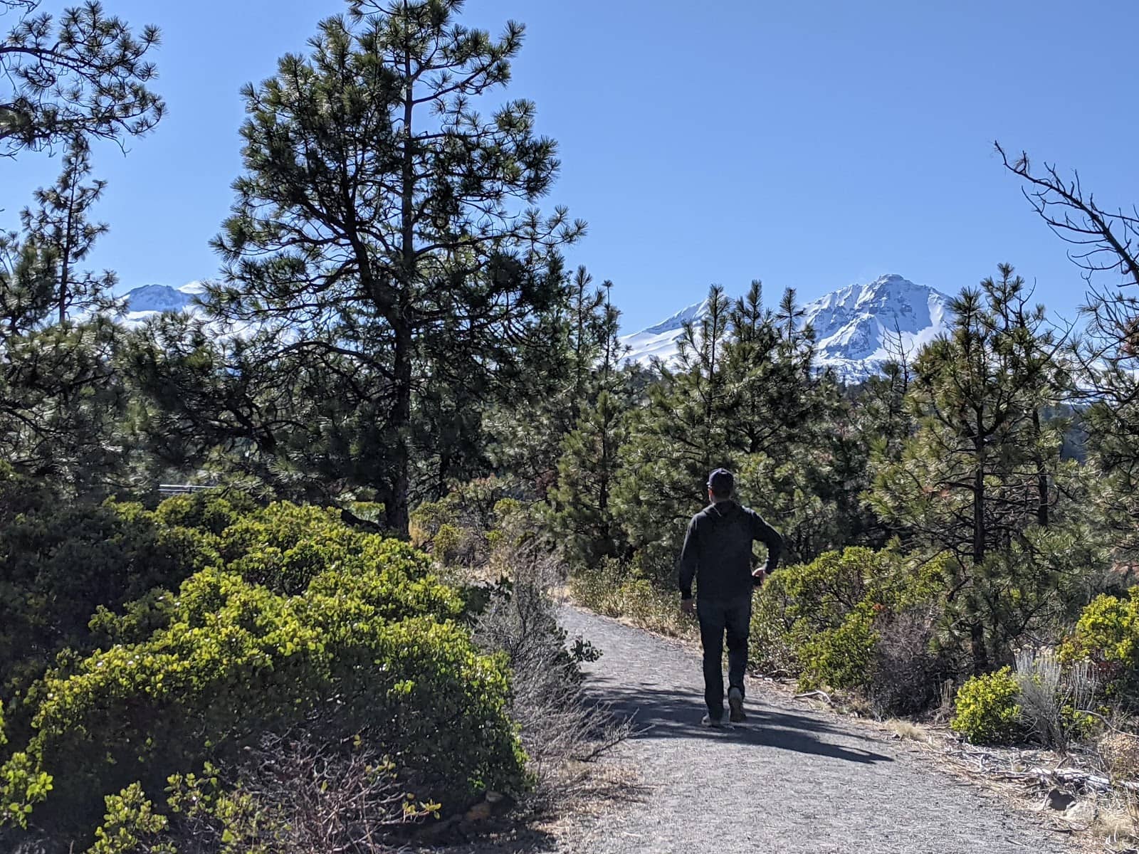 Accessible Loop Trail
