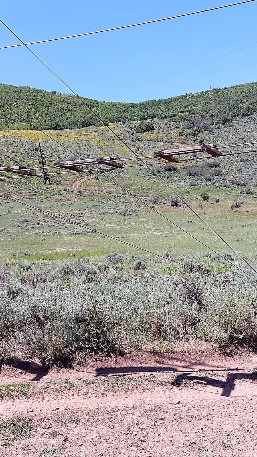 Zipline Utah at Deer Creek - Image 1