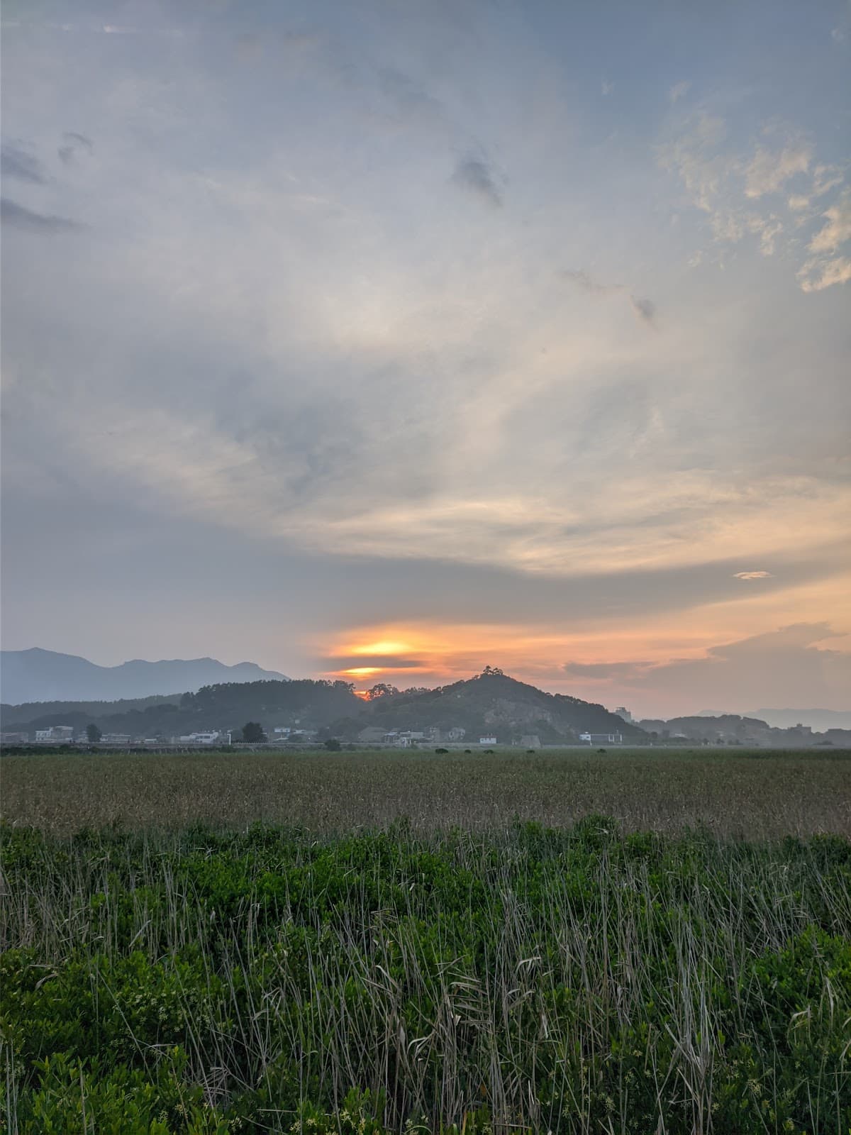 Minjiang Estuary Wetland Reserve - Image 1