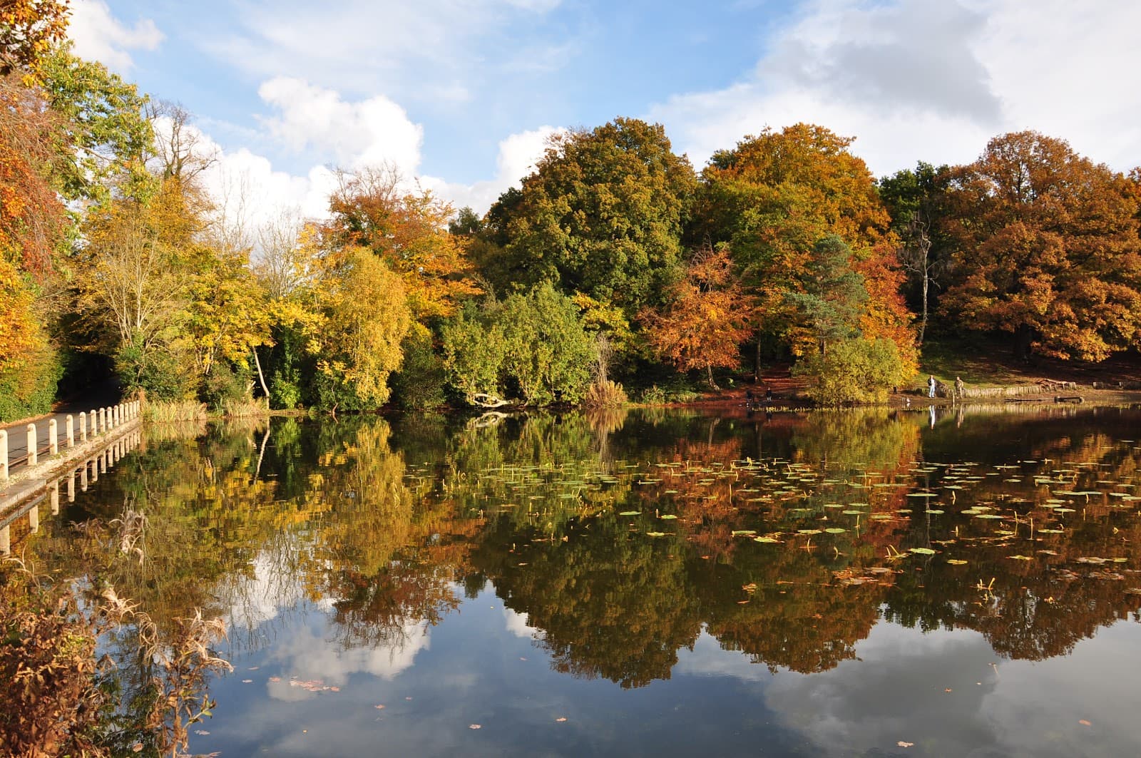 Keston Common & Ponds - Image 1