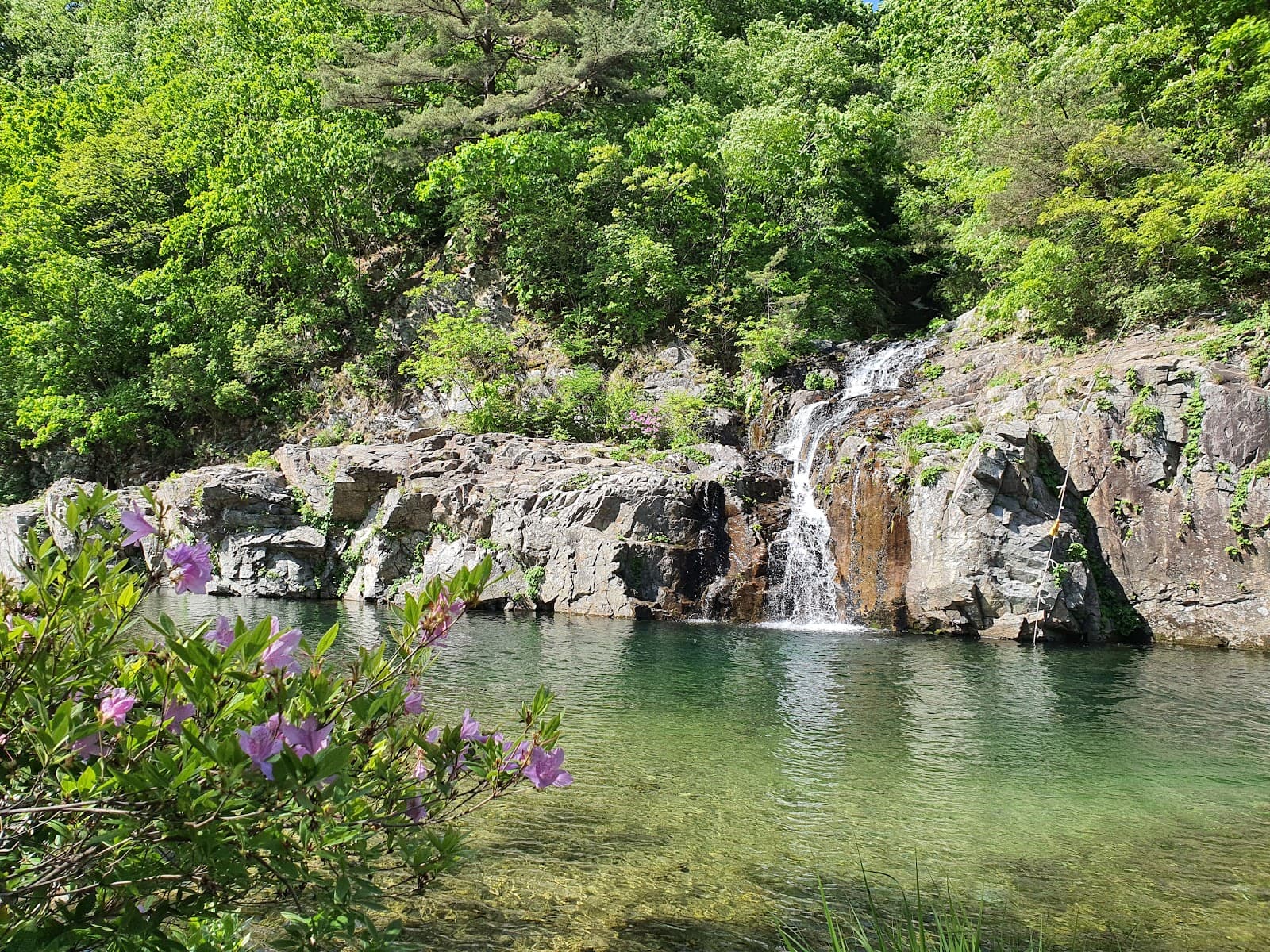 Yongso Valley - Image 1