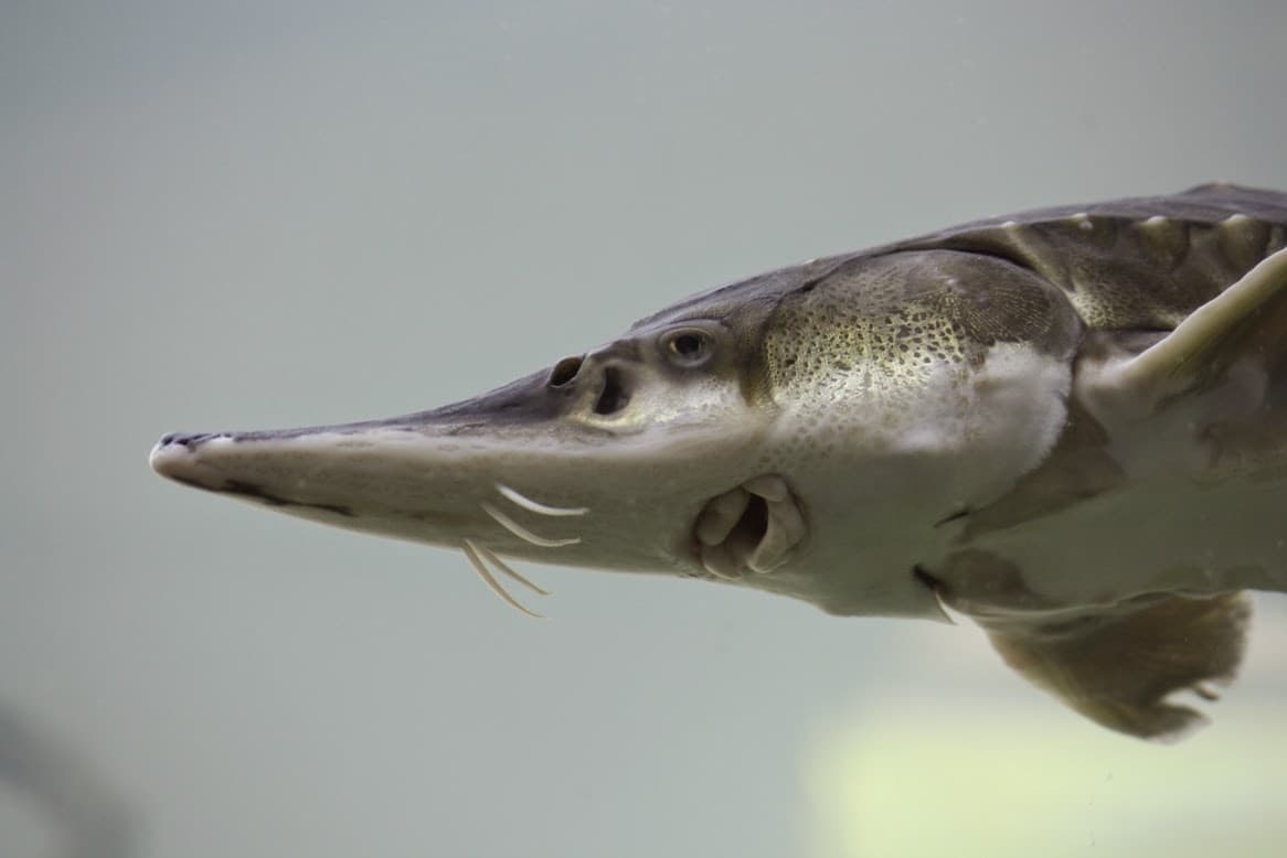 Bleckede Castle & Biosphaerium - Image 1