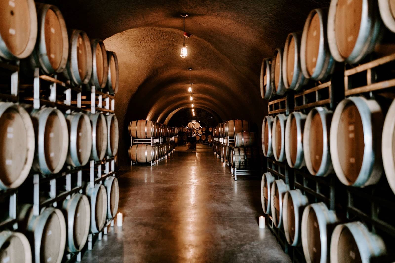 Exceptional Sauvignon Blanc