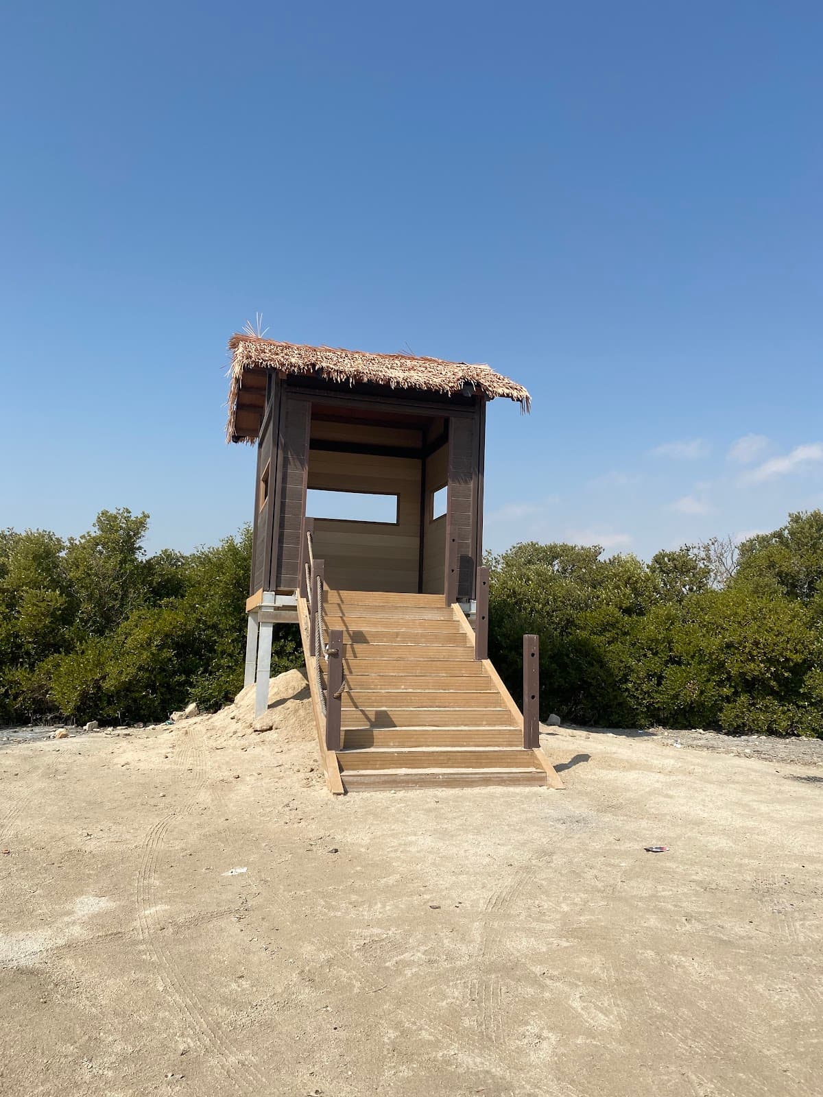 Al Thakira Mangroves - Image 1