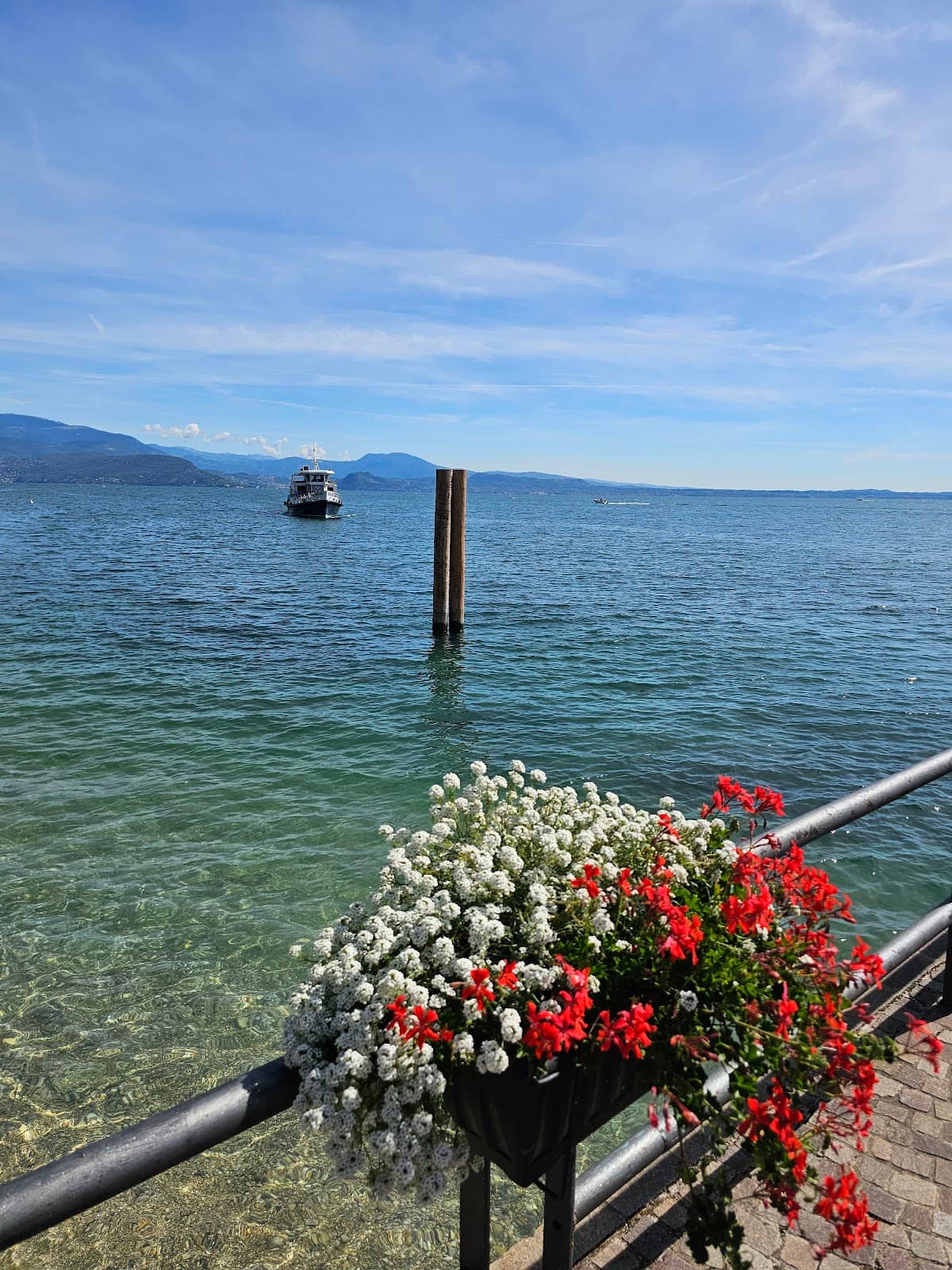 The Last Poplar Tree