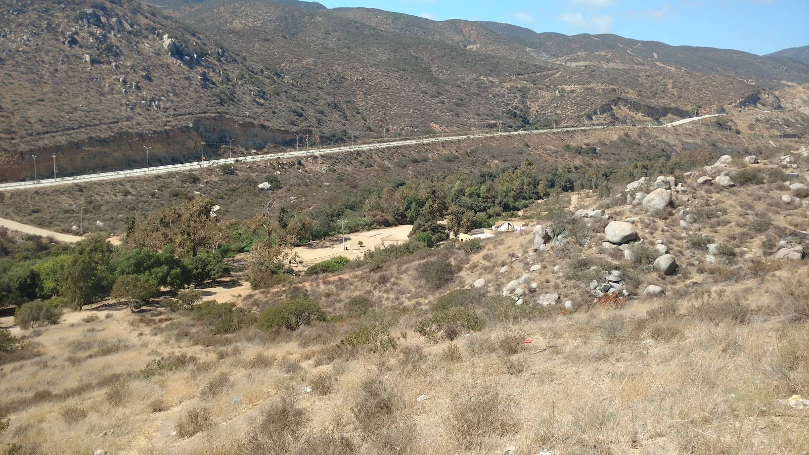 Bird Watching Opportunities