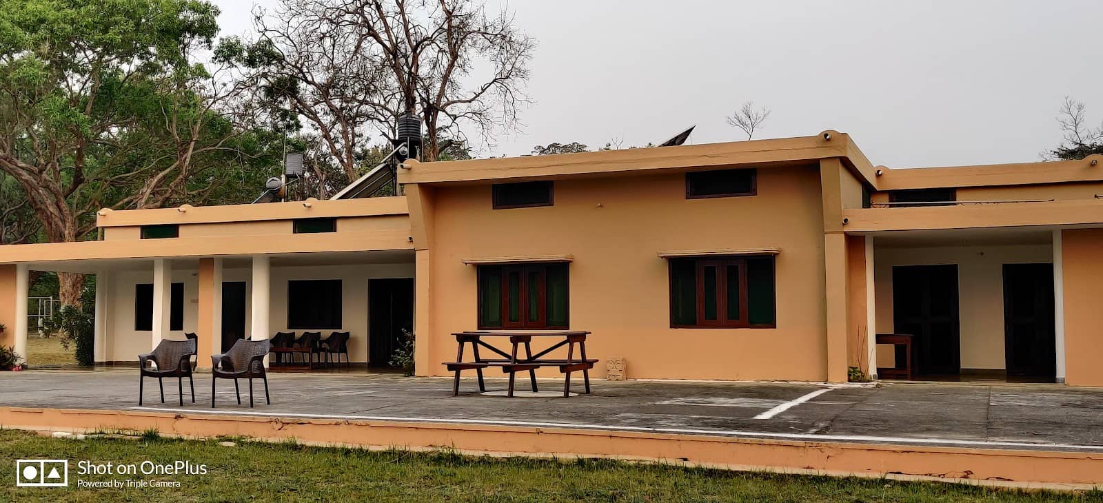 Secluded Forest Immersion