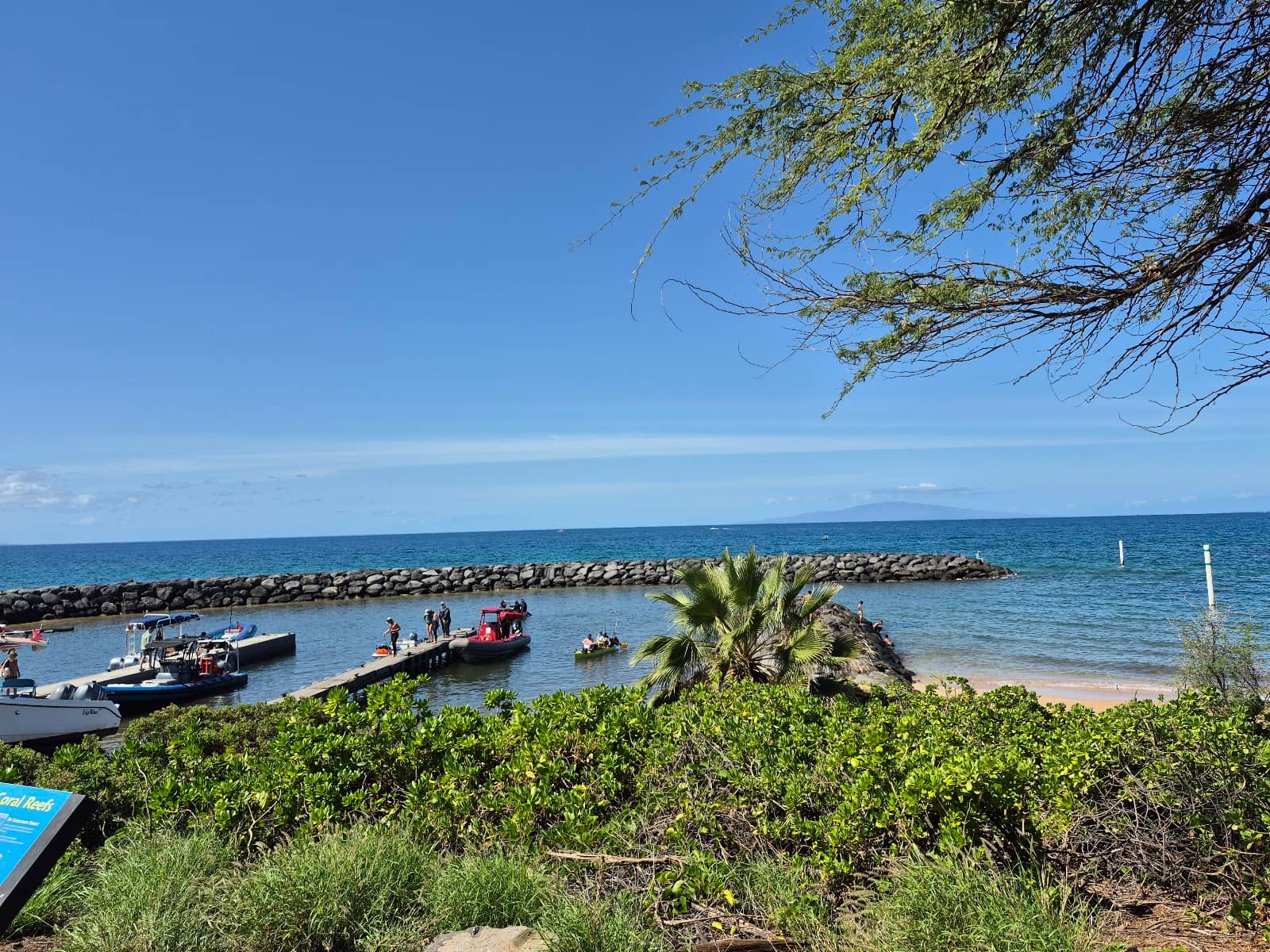 Gateway to Molokini & Turtle Town