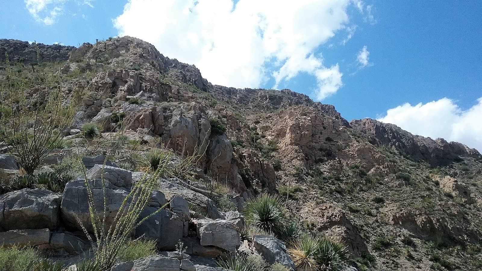Ranger Peak Overlook - Image 1