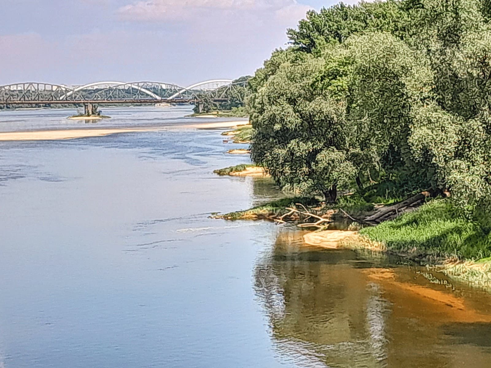 Kępa Bazarowa Nature Reserve - Image 1
