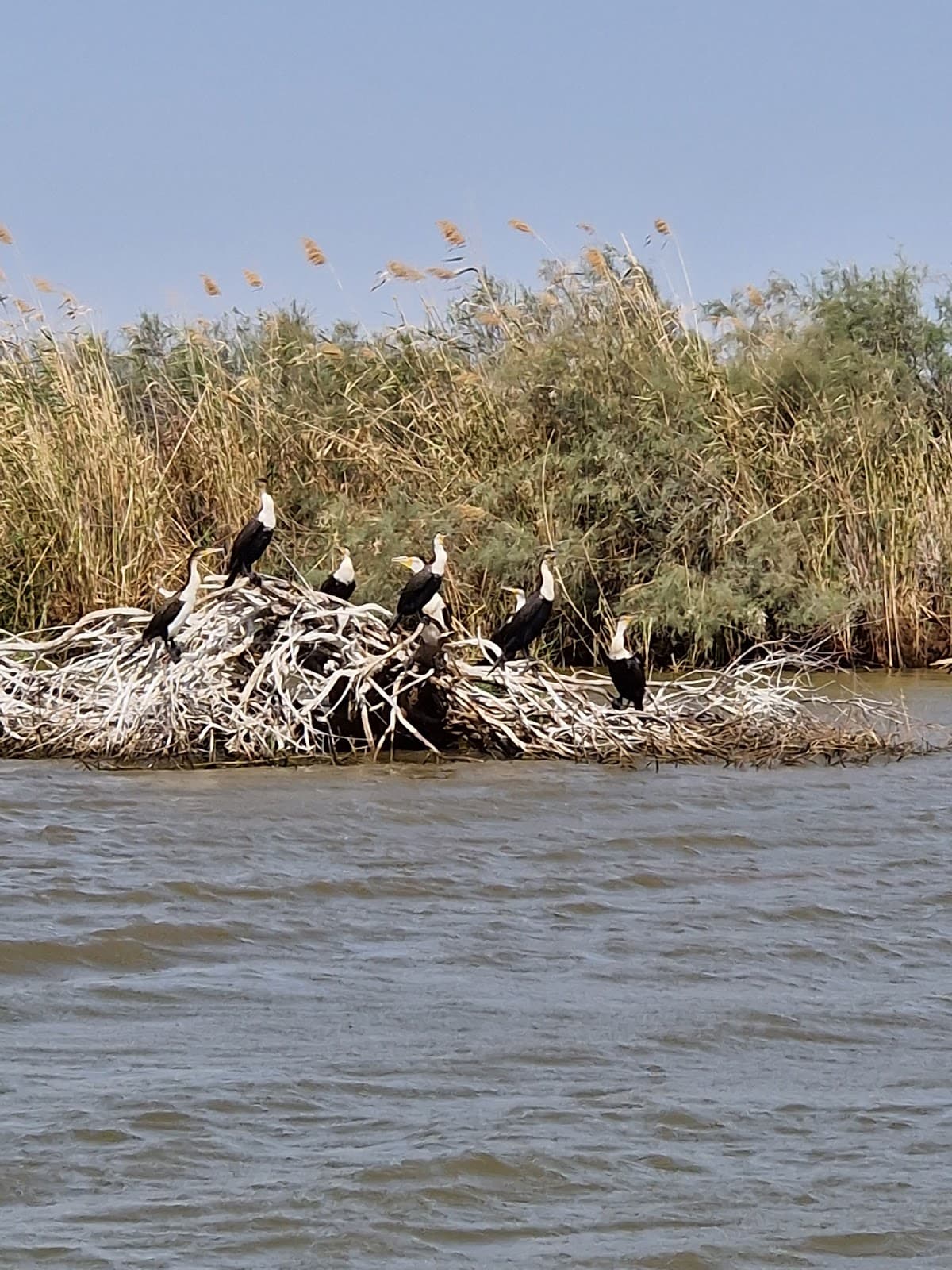 Djoudj Bird Sanctuary Observation Point - Image 1