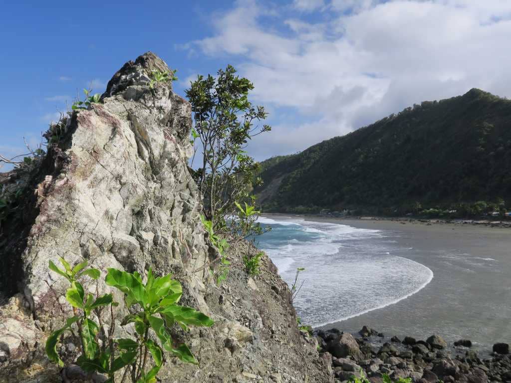 Marine Life Discovery