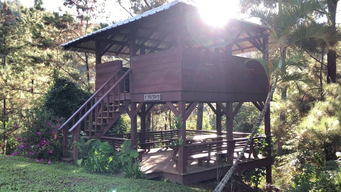 Cacao Tour Experience