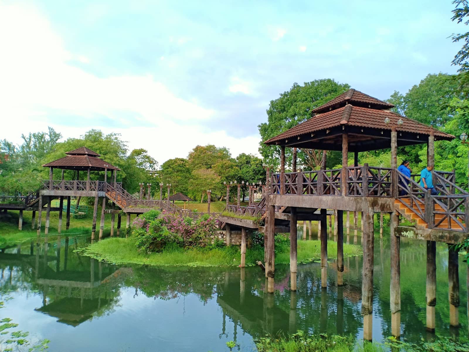 Paddle Boats on the Lake
