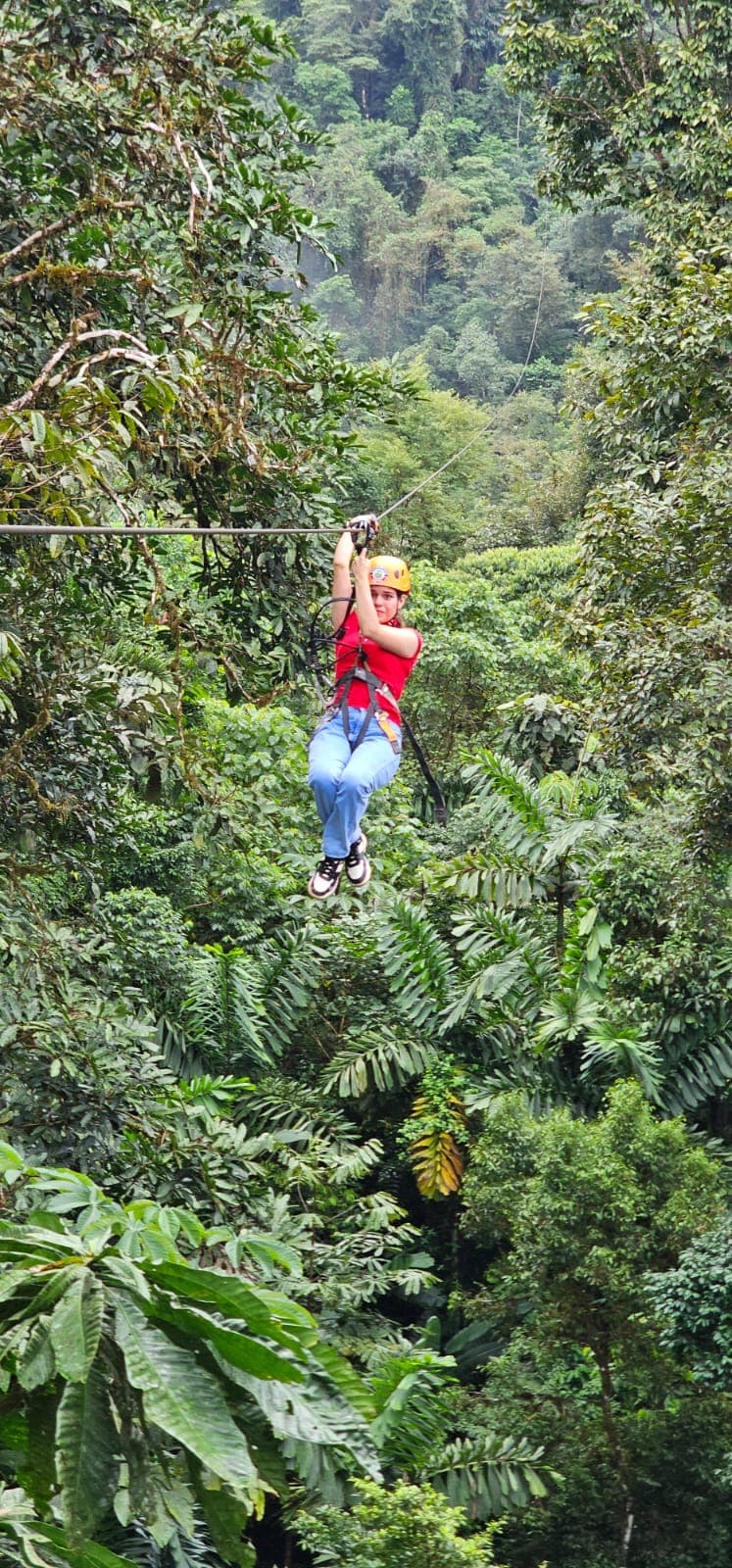 Osa Canopy Tour (zipline) - Image 1