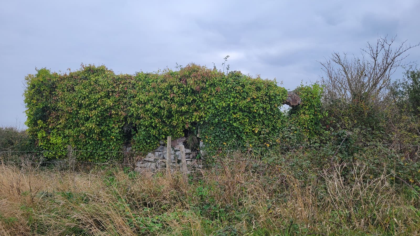 Daws Castle - Image 1