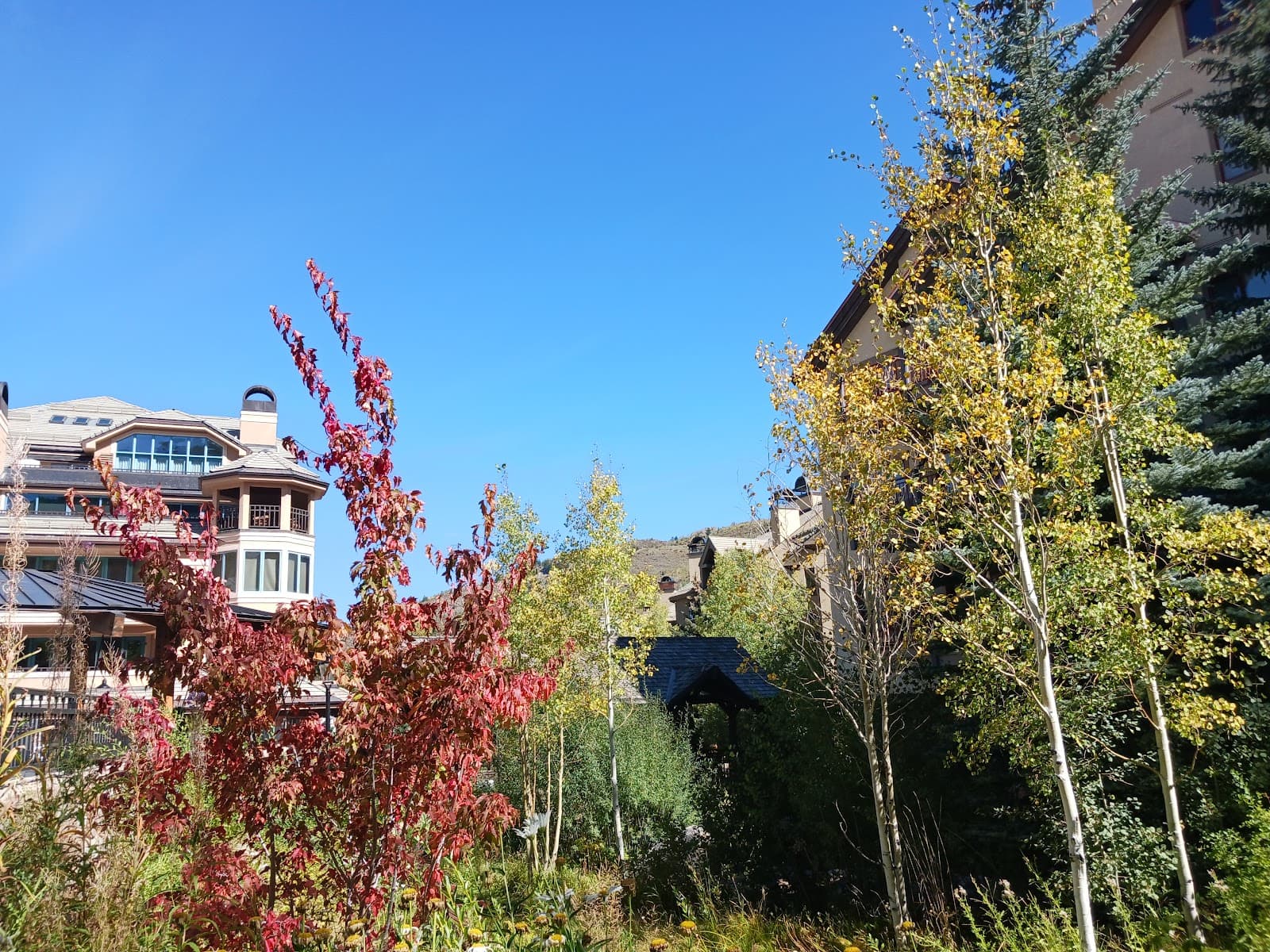 Strawberry Park (Beaver Creek) - Image 1