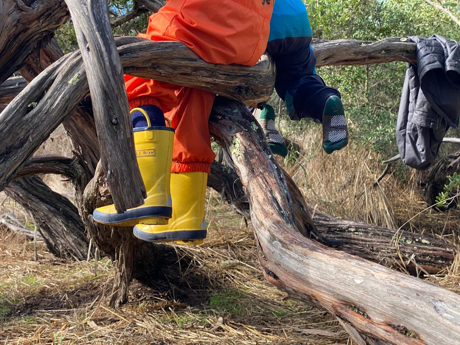 Rosegger Forest School - Image 1