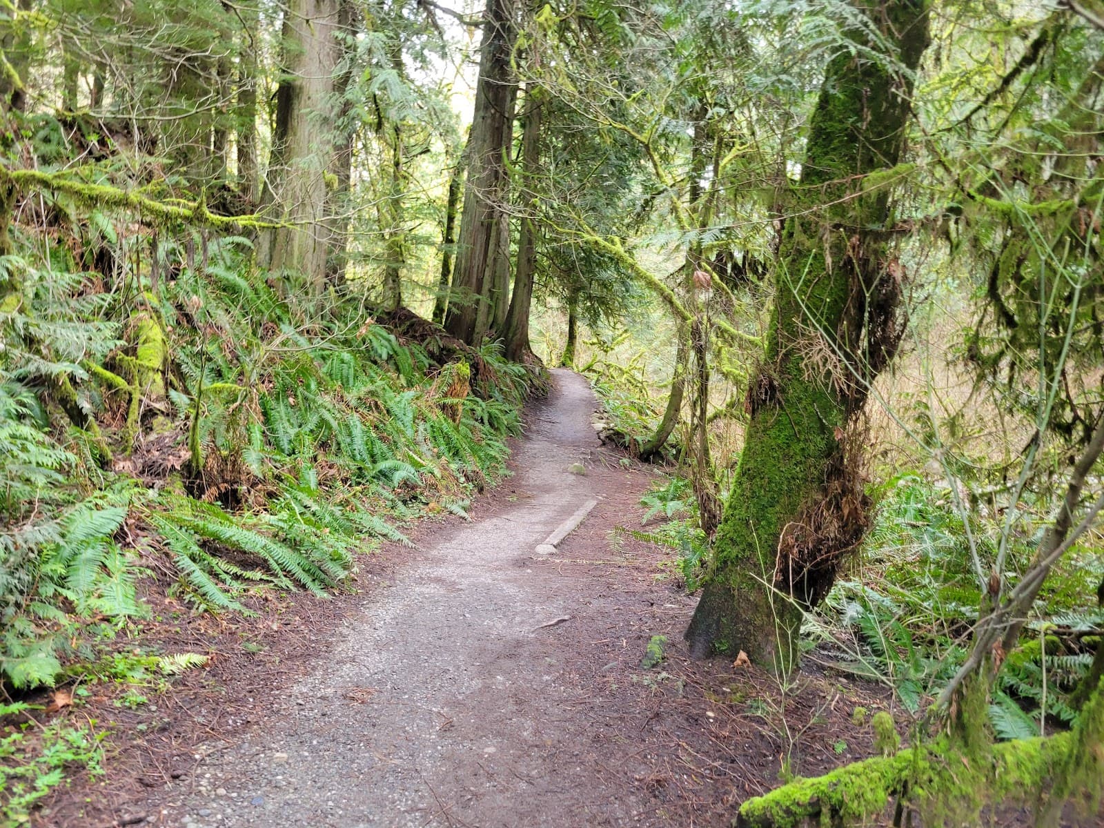 Arroyo Park - Image 1