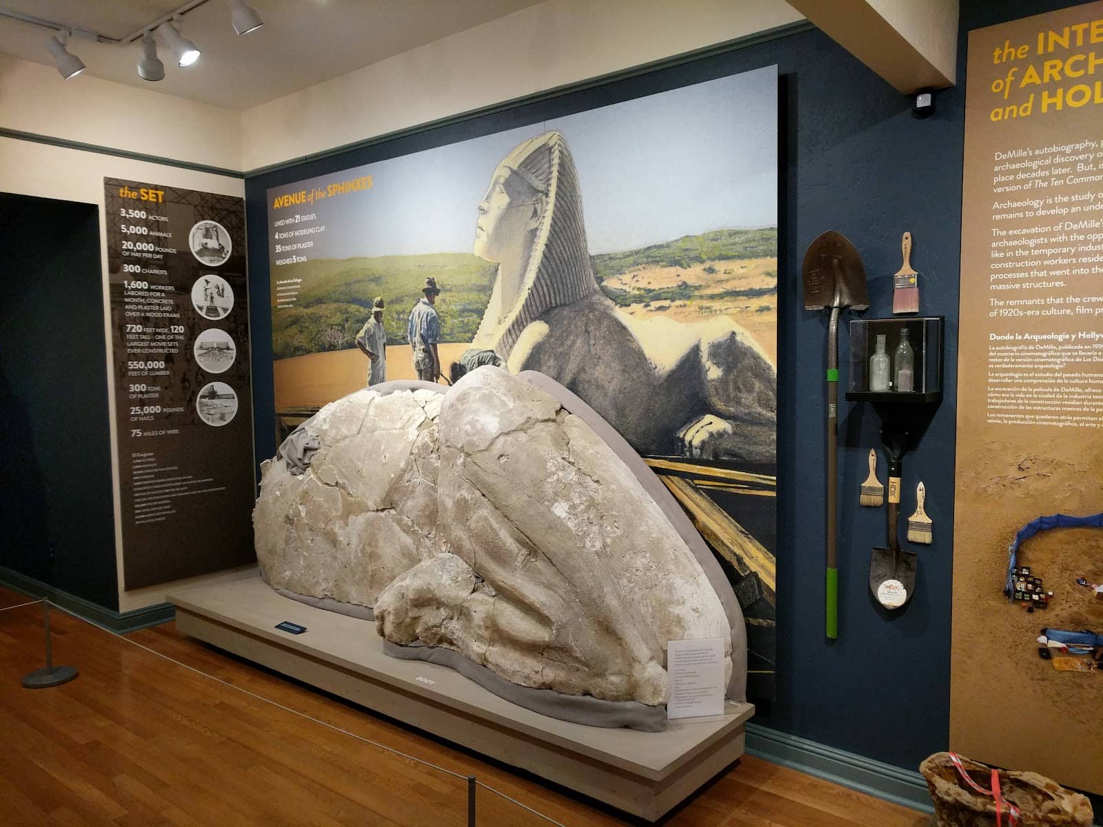 Wildlife Observation