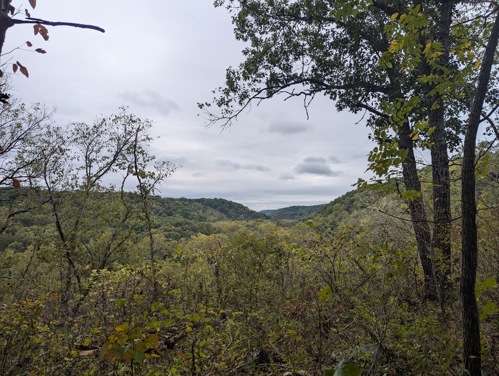 Little Lost Creek Conservation Area - Image 1