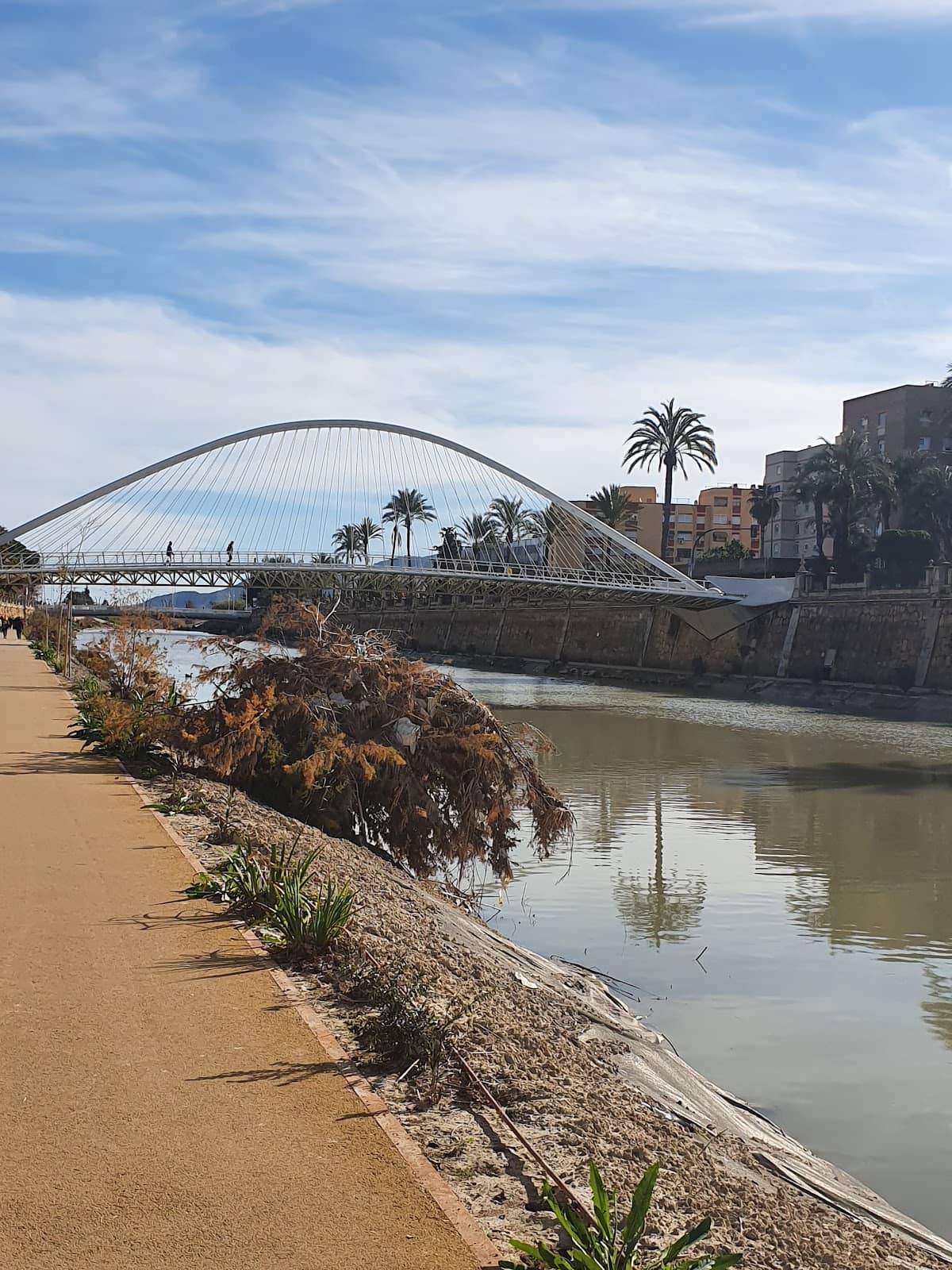 Rojales Municipal Car Park Start