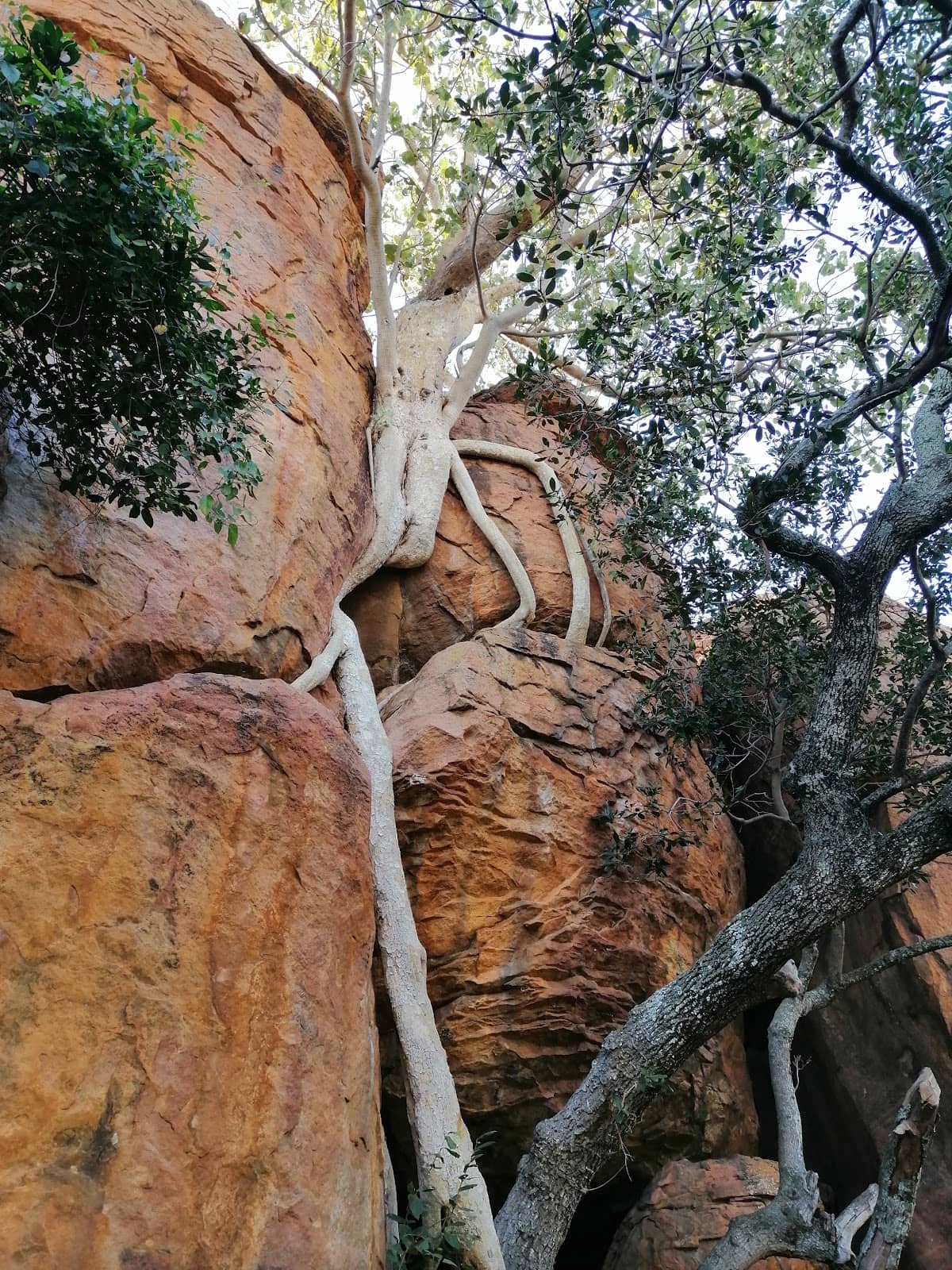 Vertical photo