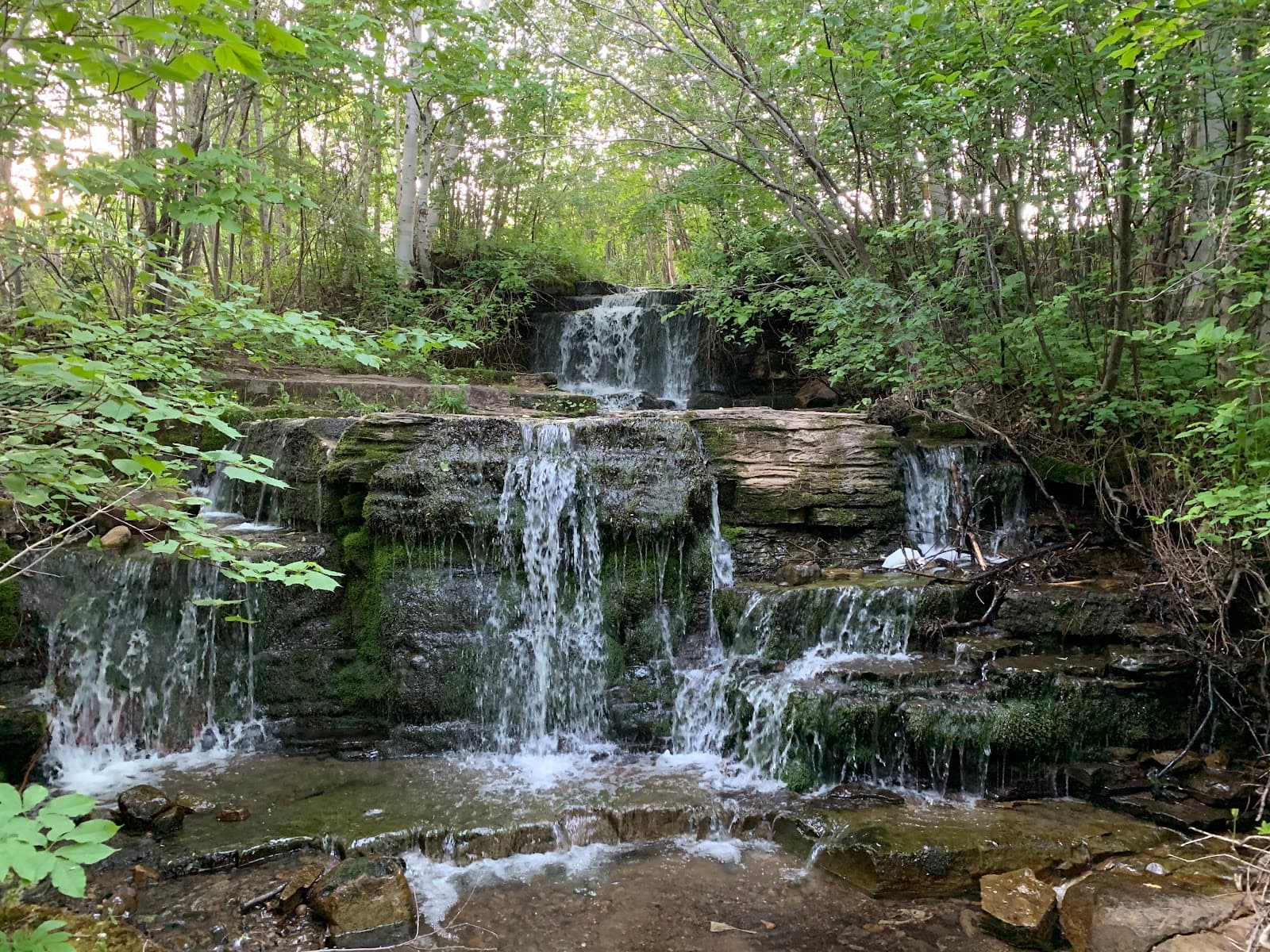 Route des Lilas (Cap‑à‑l’Aigle) - Image 1