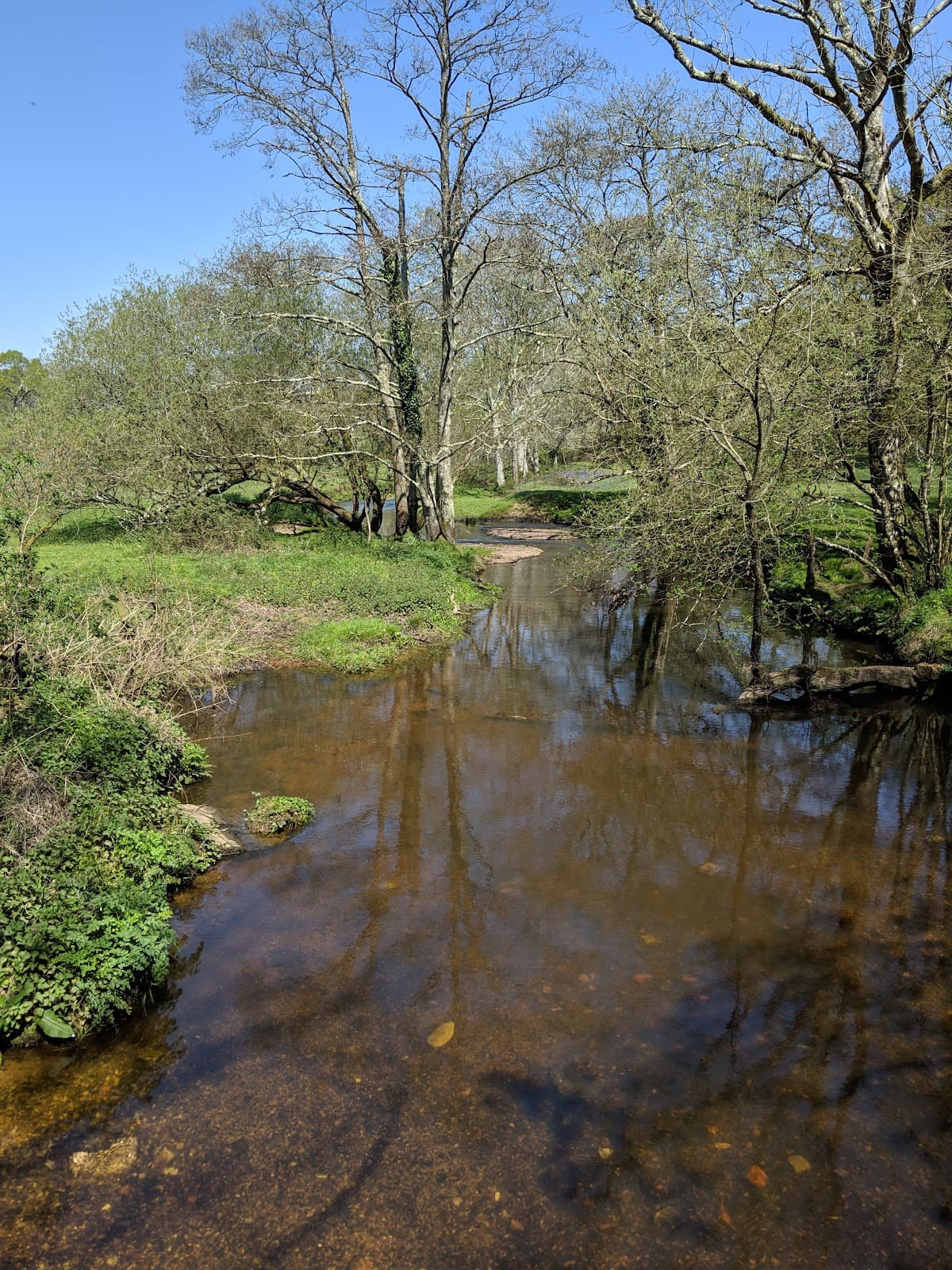 Roydon Woods Nature Reserve - Image 1