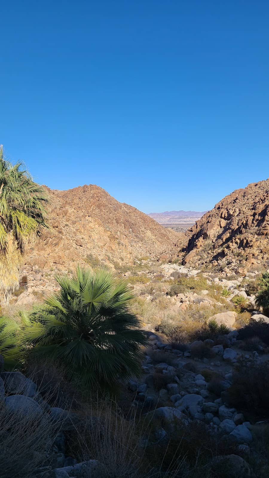 Desert Vistas