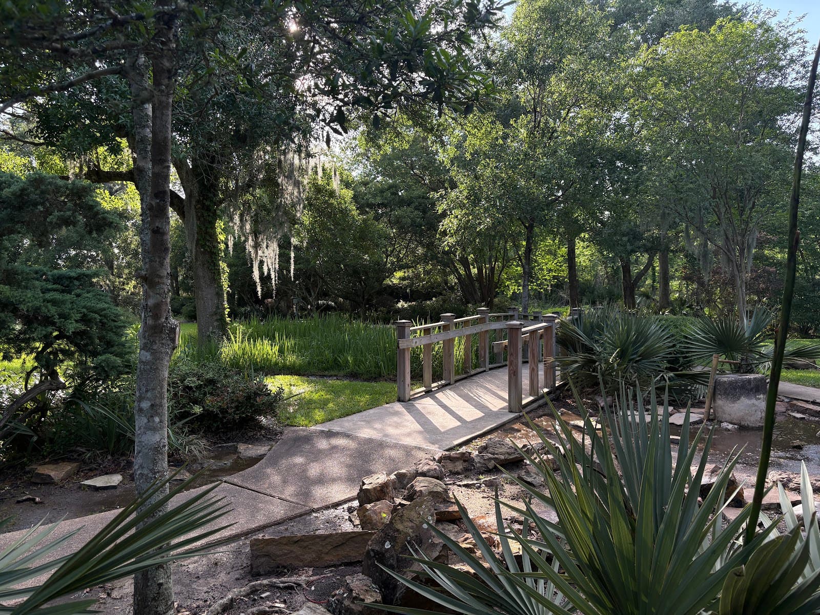 Tyrrell Park - Image 1