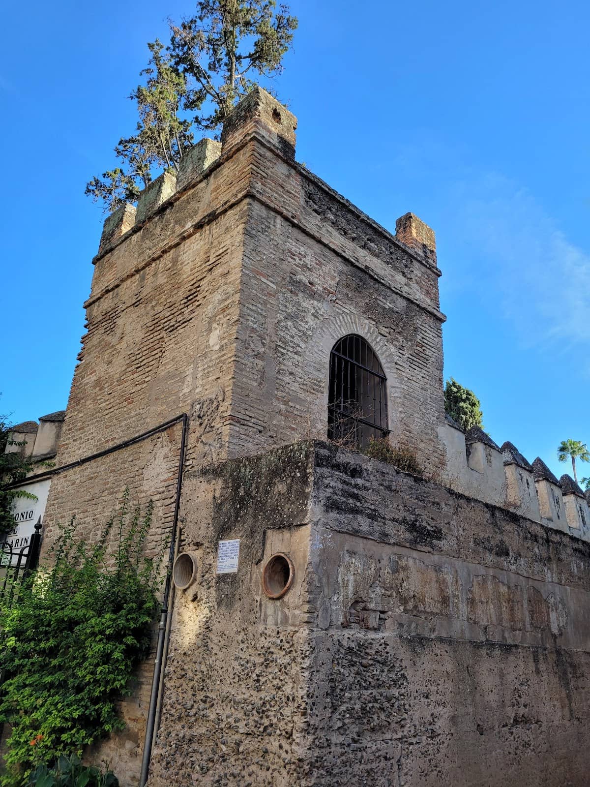 Reja del Diablo