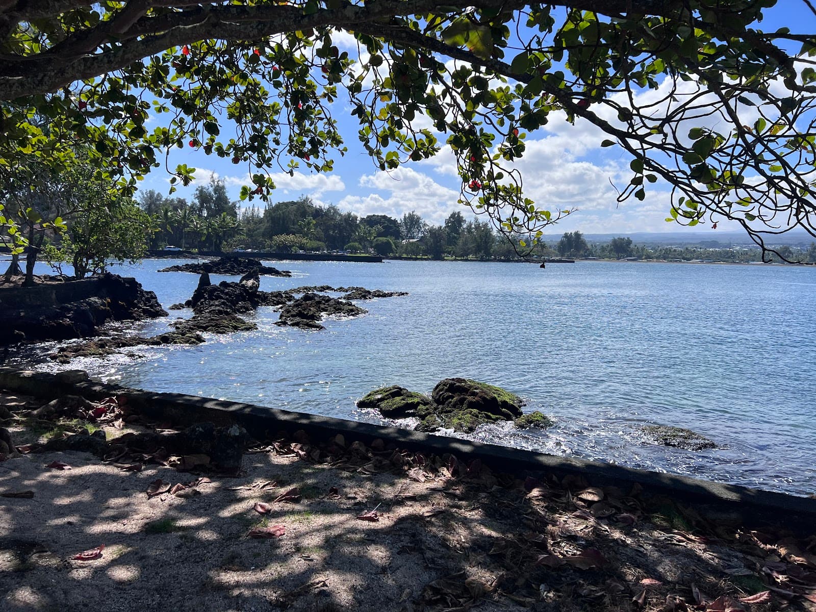 Coconut Island (Mokuola) - Image 1