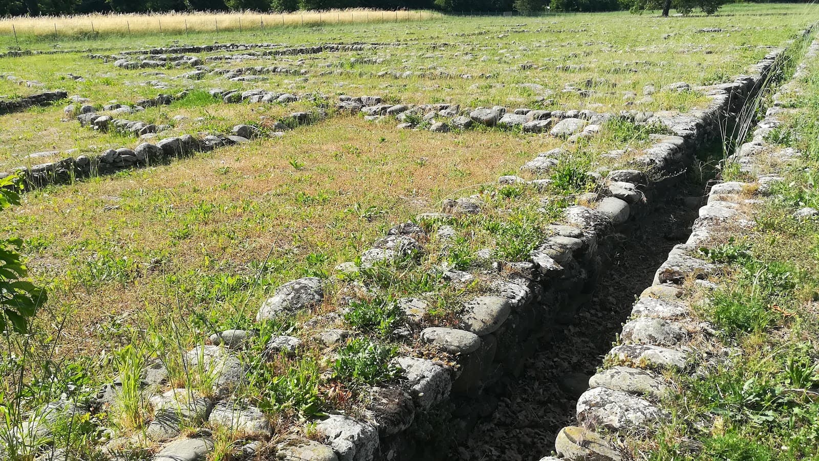 Marzabotto Archaeological Area (Kainua) - Image 1
