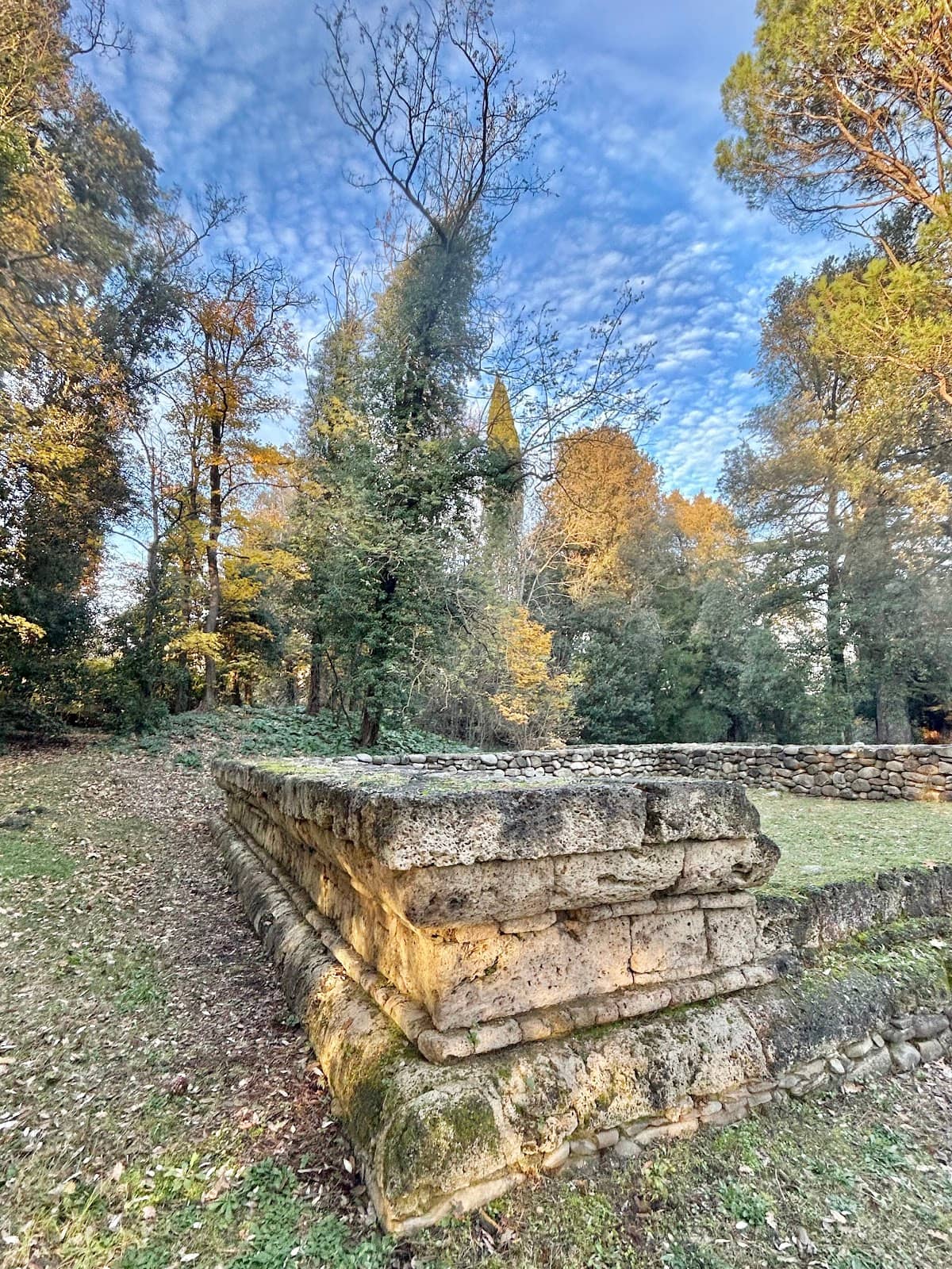 Vertical photo