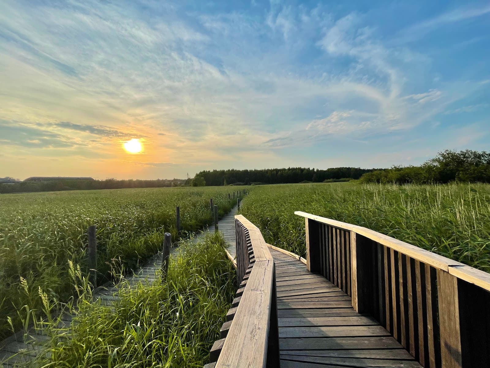 Lammassaari & Kuusiluoto - Image 1