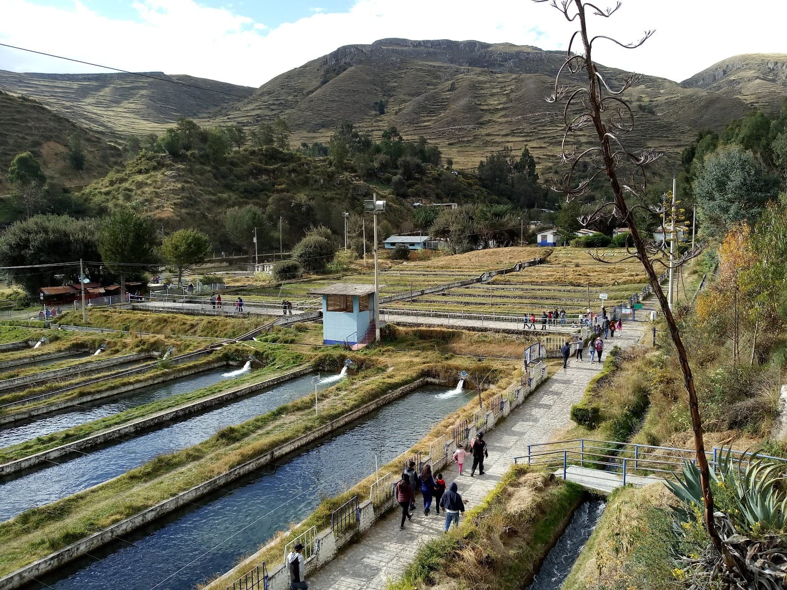 Ingenio Trout Farm (Centro Piscícola El Ingenio) - Image 1