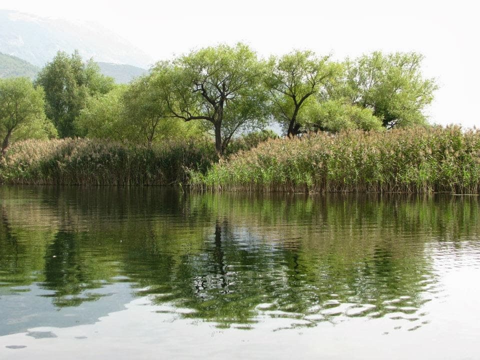 Oasi WWF Sorgenti del Pescara - Image 1