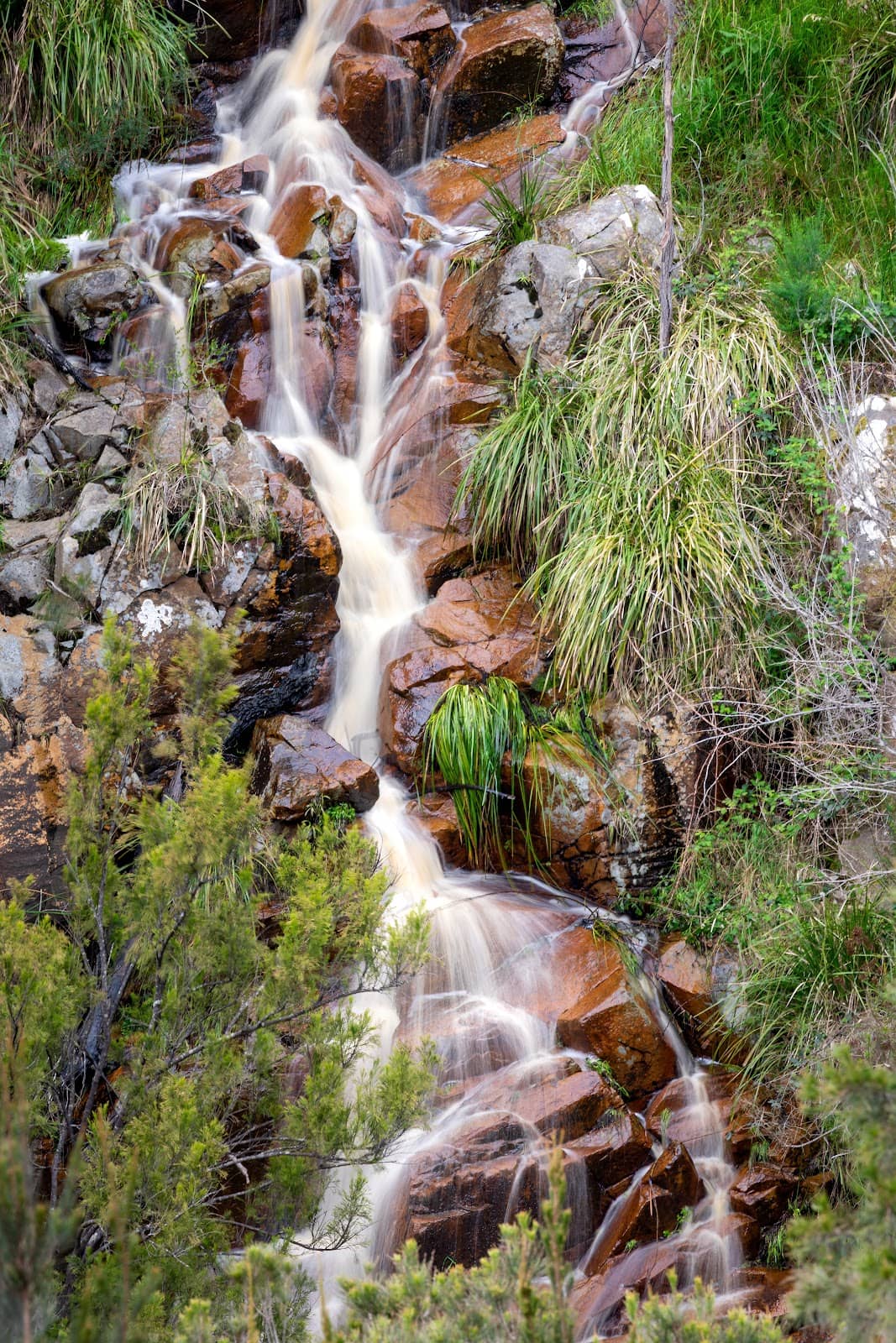 Vertical photo