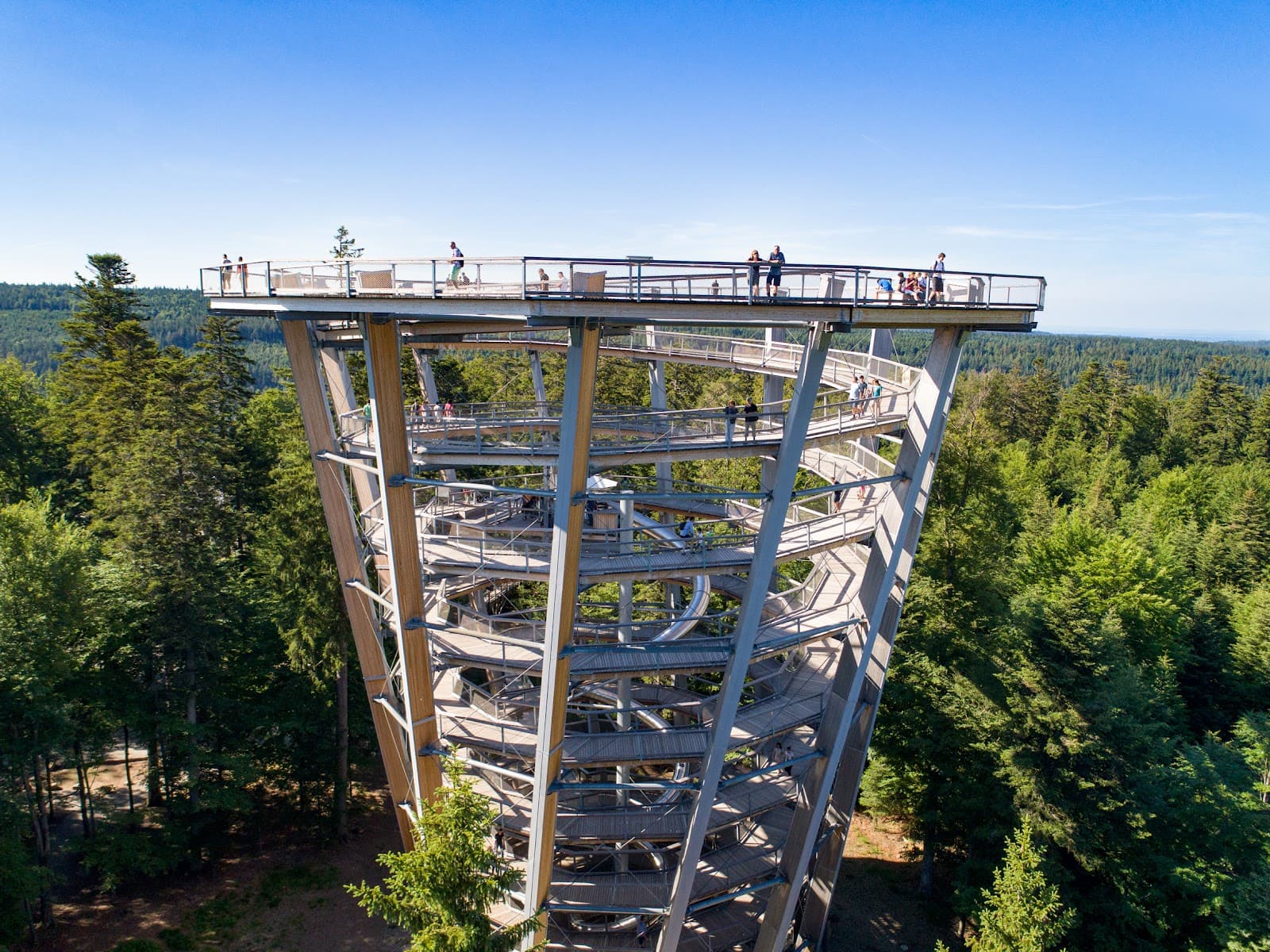 Baumwipfelpfad Schwarzwald - Image 1