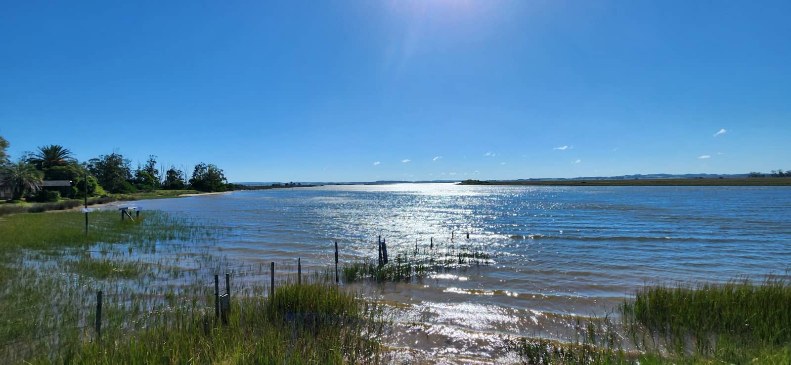 Flora and Fauna Exploration