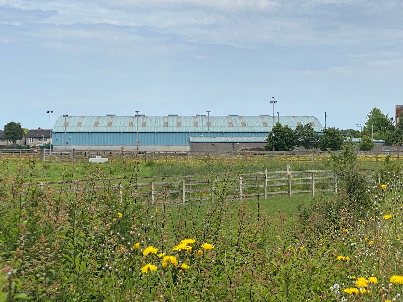 Various Equestrian Centers (e.g., Emerald Liffey Valley) - Image 1
