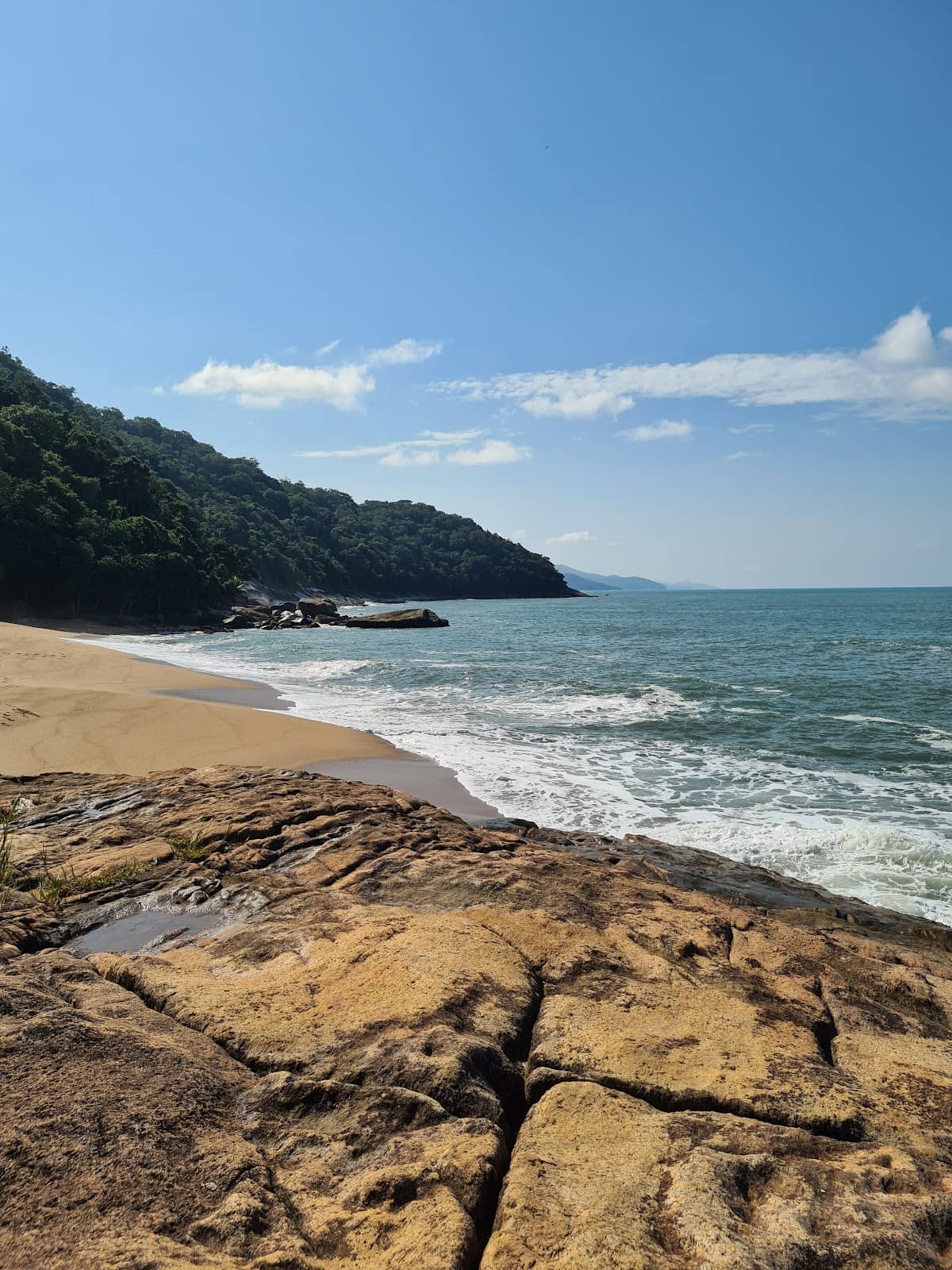 Contemplative Coastal Views