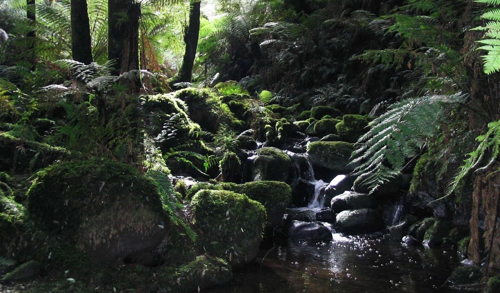 Sherbrooke Falls - Image 1