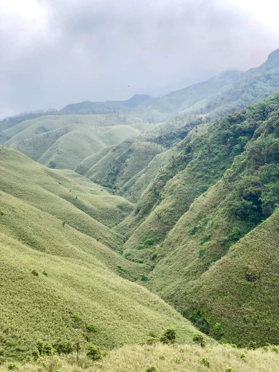 Zakhama Dzukou Trailhead - Image 1