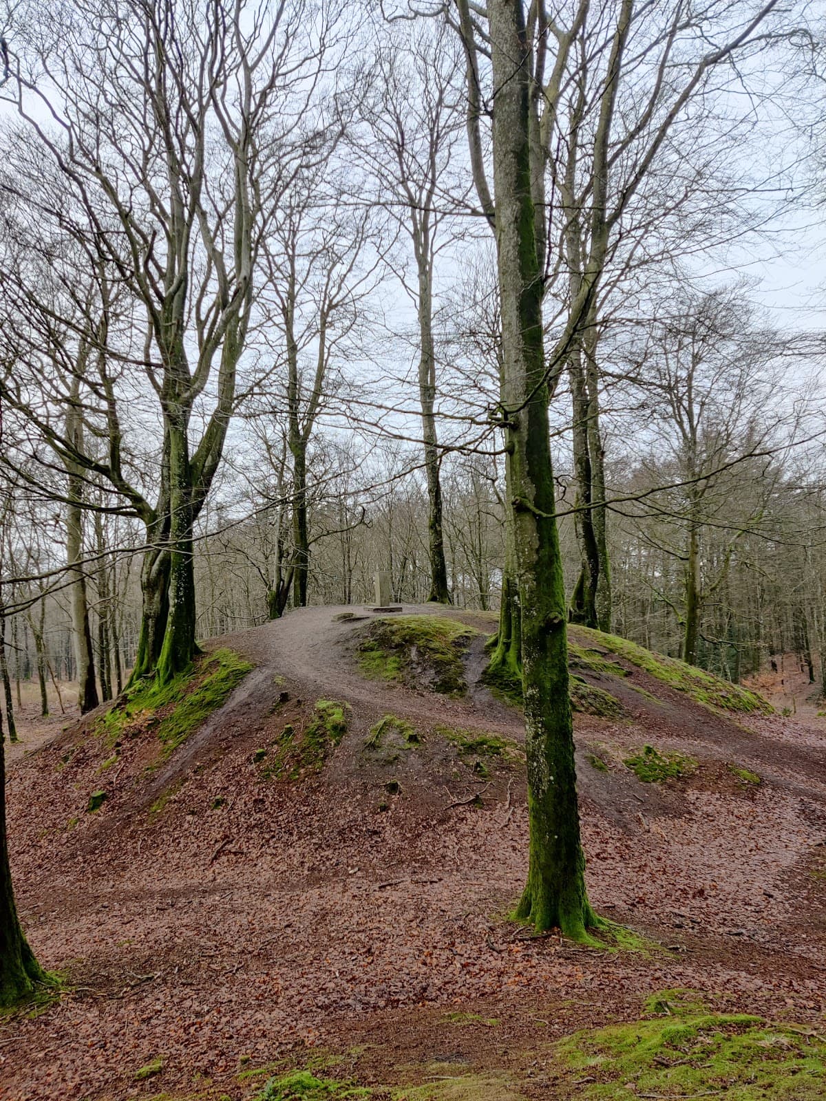 Knøsen (Highest point in Vendsyssel) - Image 1