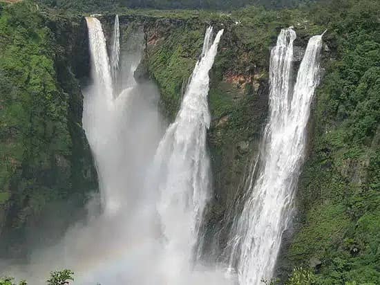 Dense Western Ghats Setting