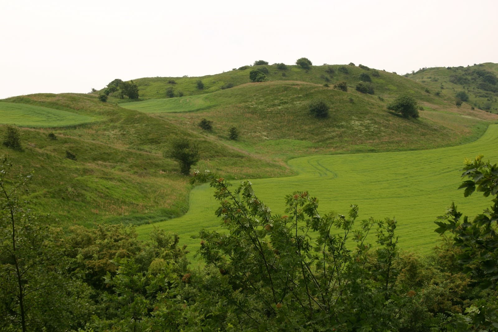 Agri Bavnehøj - Image 1